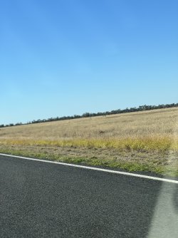 IMG_0060.jpeg