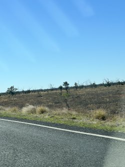 IMG_0063.jpeg