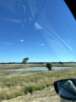 IMG_0106.jpeg