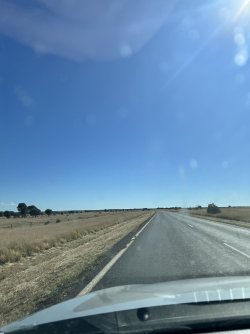IMG_0108.jpeg