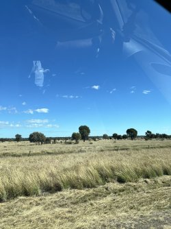 IMG_0109.jpeg