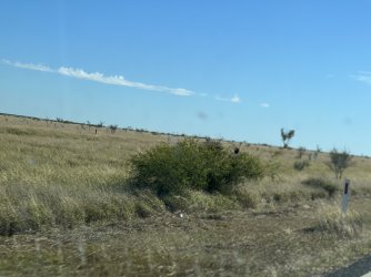 IMG_0110.jpeg