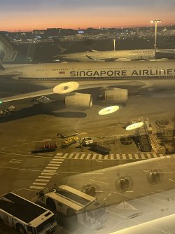 IMG_6310.jpeg