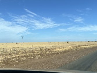 IMG_0172.jpeg