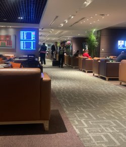 IMG_0953.jpeg