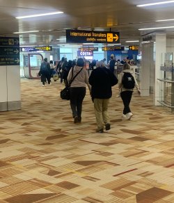 IMG_0966.jpeg