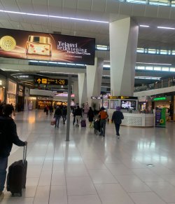 IMG_0967.jpeg