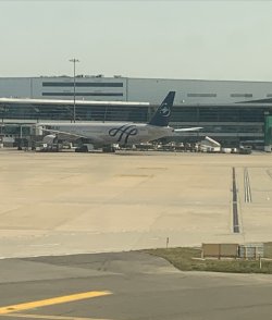 IMG_0988.jpeg