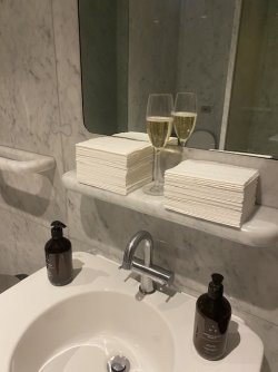IMG_2555.jpeg