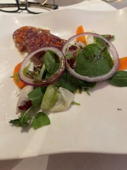 IMG_3305a.JPG