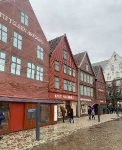IMG_1183.jpeg IMG_1183.jpeg