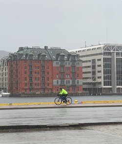 IMG_1186.jpeg IMG_1186.jpeg