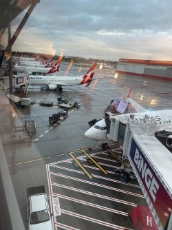 IMG_0011.jpeg
