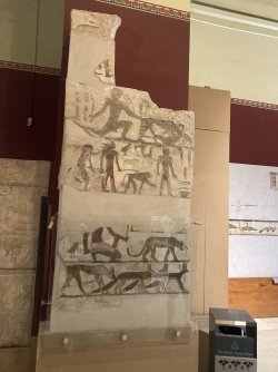IMG_0477.jpeg