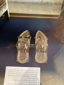 IMG_0504.jpeg