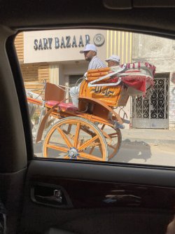 IMG_0613.jpeg