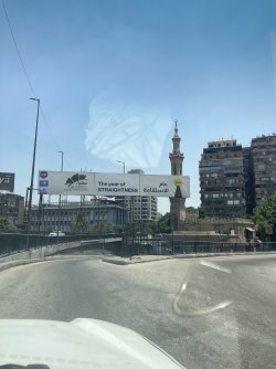 IMG_0816.jpeg