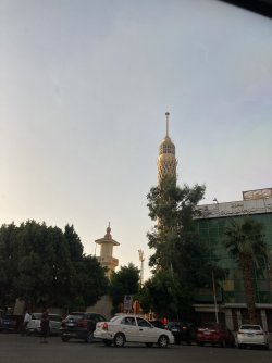 IMG_0822.jpeg