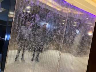 IMG_0844.jpeg