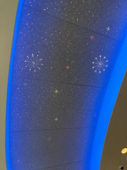 IMG_0858.jpeg