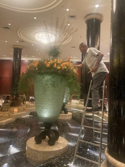 IMG_0940.jpeg