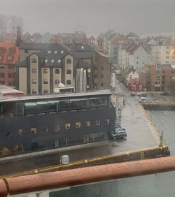 IMG_1201.jpeg