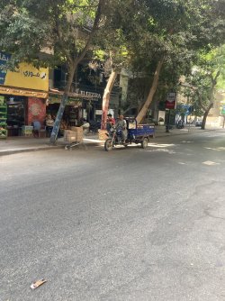 IMG_0980.jpeg