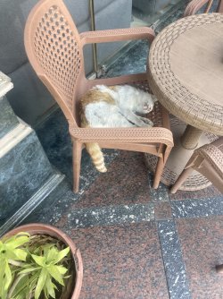 IMG_0964.jpeg