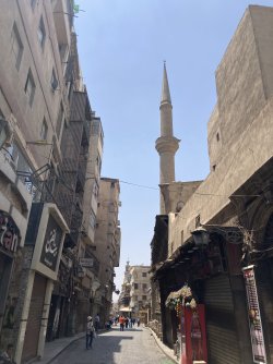 IMG_1015.jpeg