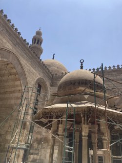 IMG_1037.jpeg