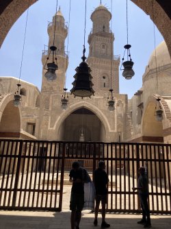 IMG_1043.jpeg