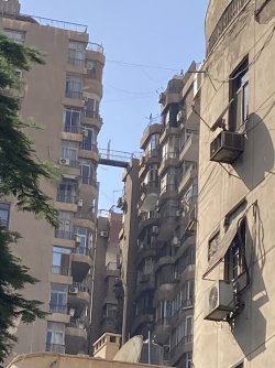 IMG_1143.jpeg