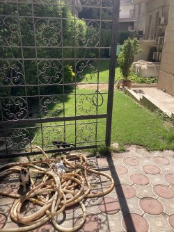 IMG_1203.jpeg