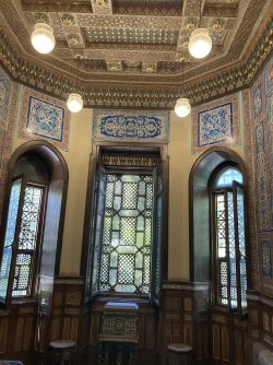 IMG_1329.jpeg