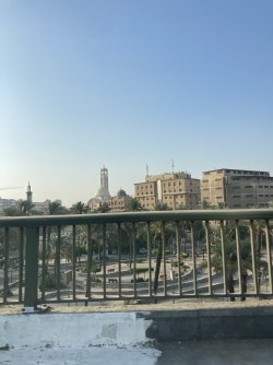 IMG_1500.jpeg