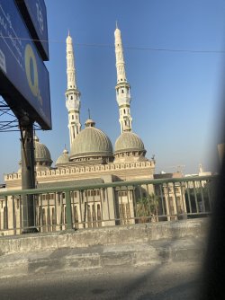 IMG_1506.jpeg