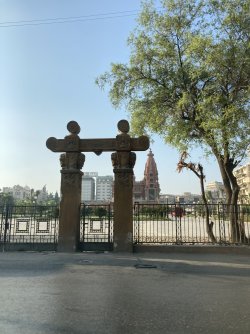 IMG_1520.jpeg