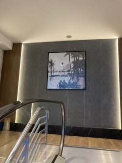IMG_1545.jpeg