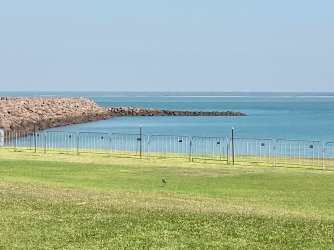 IMG_9606.jpg