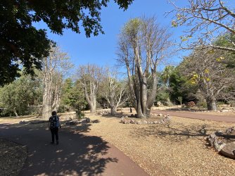 IMG_9670.jpg