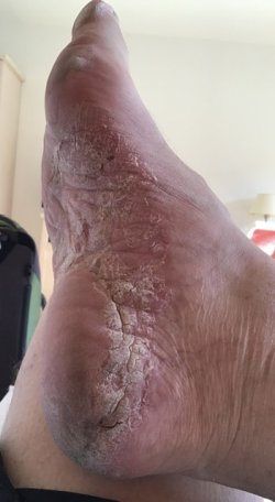 IMG_0510.jpeg