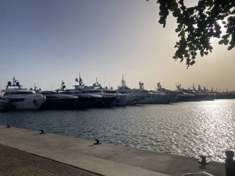 IMG_1860.jpeg