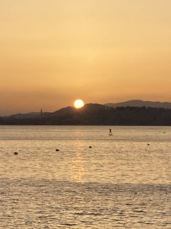 IMG_1893.jpeg