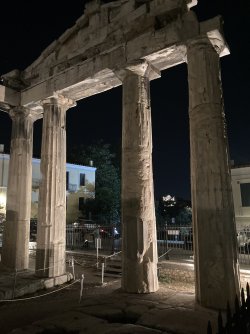 IMG_2116.jpeg