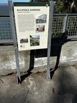 IMG_1920.jpeg