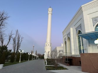IMG_5007.jpeg