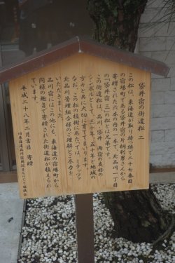 DSC05816.JPG