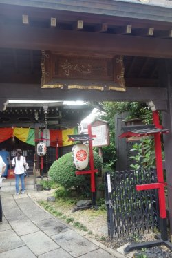 DSC05836.JPG