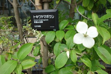 DSC05922.JPG