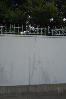 DSC05925.JPG